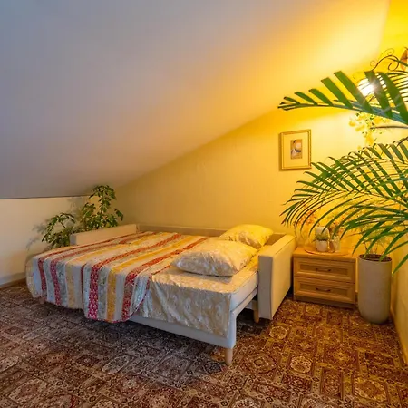 Cozy House In *